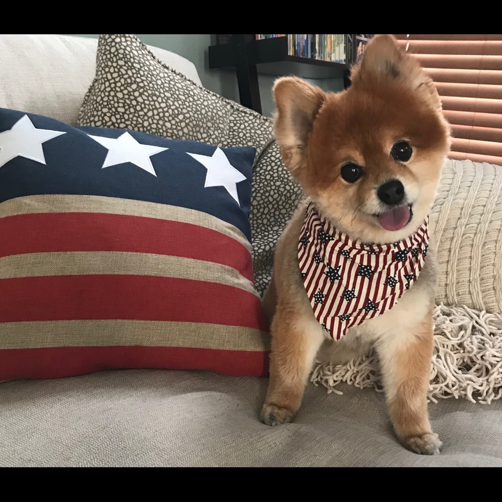 Meet your Posher, Jacqueline